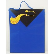 Graduation Gift Bag From Hallmark Expressions