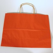 "Tropical Orange" Fashion Gift Bag