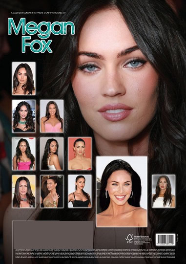 Wholesale Megan Fox 2010 Calendar | DollarDays