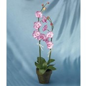 Wholesale Kigi Products Wholesale Artificial Plants and Flowers