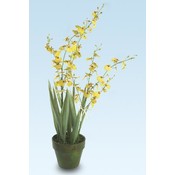 KIGI 19'H Dancing Yellow Orchid w/Pot Wholesale Bulk