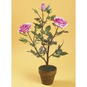 KIGI 27.5'H Rose With Pot Wholesale Bulk