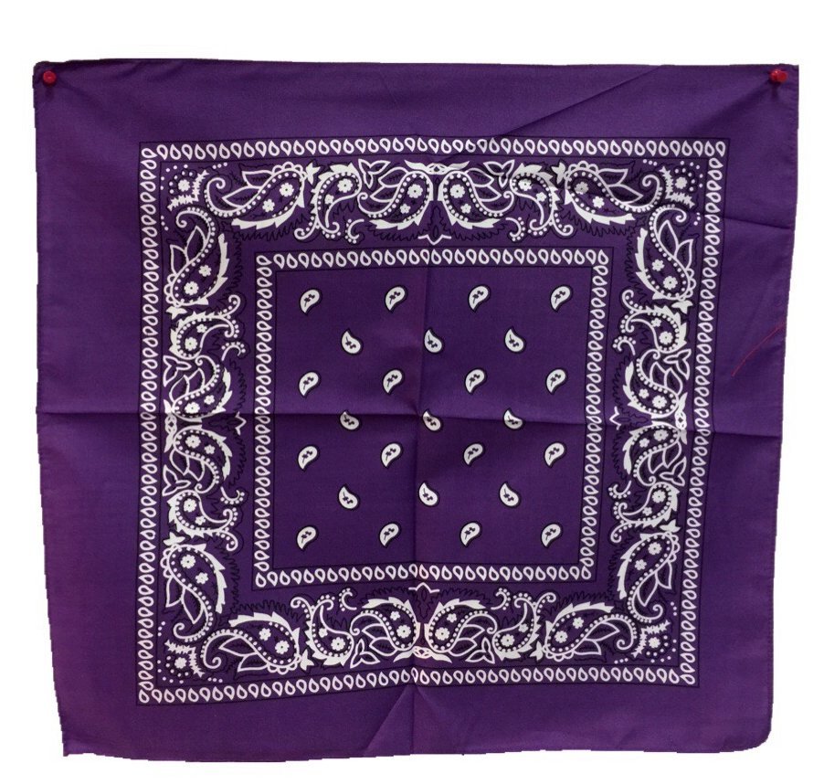 Wholesale Paisley Pattern Assorted Color Bandanas DollarDays