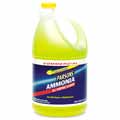 Parsons' Ammonia All-Purpose Cleaner