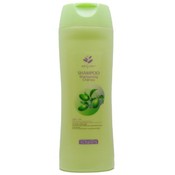 Olive Oil Shampoo for Soft Shiny Hair