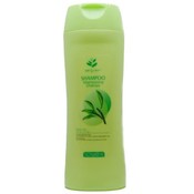 Green Tea Seed Oil Shampoo for Dry, Dull Hair