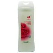 Smooth &amp; Bright Shampoo