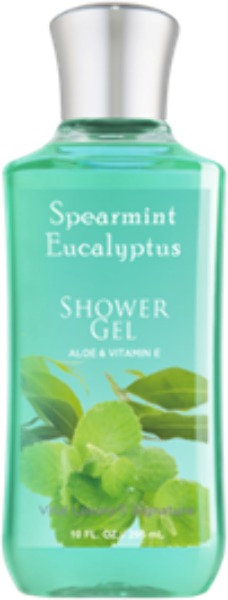 Vital Luxury Signature Shower Gel - Spearmint Eucalyptus 10 (24x.73)