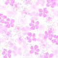 Pretty Petals 12X12 25Ct