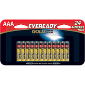 AAA Alkaline Bulk Pack - 24 Pack