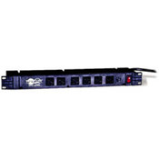 12-Outlet Rackmount Pwr Strip