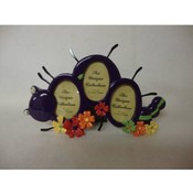 Crazy Crawlers Frame