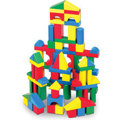 100 Wood Blocks Set
