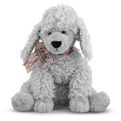 Curley Grey Poodle