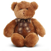 Bronzer Bear