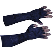 Chimp Hands