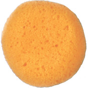Sponge Cosmetic