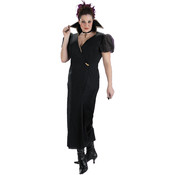 Transylvania Witch Plus Size Women's Costume