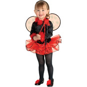 Lil Ladybug Toddler Costume