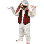 Peter Rtail Costume 1 Box = 1 Wholesale Bulk