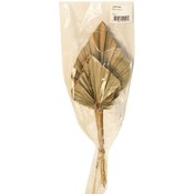 Palm Spear bundle - 3 Count