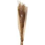Hoglas Pencil Bunches - 50ct