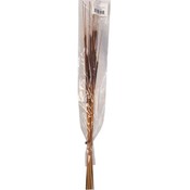 Hydrated Stems, Bundle