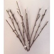Ice branch twigs - Bulk