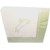 Beverage Napkin with Bunny - 16 Count