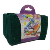 20Ct Green Scouring Pads