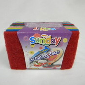 10Ct Scouring Pads