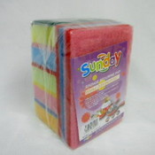 10Pc Dish Sponge &amp; Scoring Pads