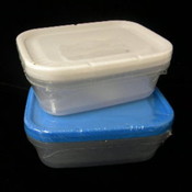 2Pk Plastic Storage Container