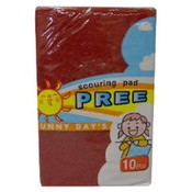 10Pk Scouring Pad