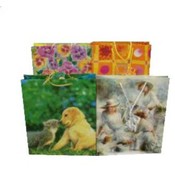 Lrg Everyday Papr Giftbag