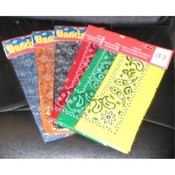 Floral/Paisley Design Assorted Bandannas