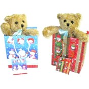 Christmas Holiday Bear in Bag Promotion