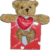 Valentines Day Build Your Own Heart Bear Promotion