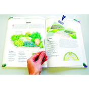 Mighty Bright FlexiThin Magnifier 2-1/2"X7-1/2"-Bo