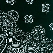 Have-A-Hank Paisley Bandannas 22"X22"-Black