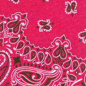 Have-A-Hank Paisley Bandannas 22"X22"-Hot Pink