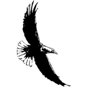 Art Impressions Wilderness Stamp, Soaring Eagle