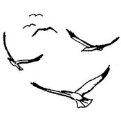 Art Impressions Wilderness Stamp, Flying Gulls