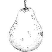 Inky Antics Mounted Rubber Stamps-Pear 2"X3"