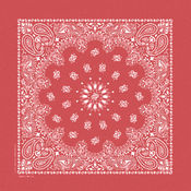 Stonewash Bandannas 20"X20"-Red Paisley