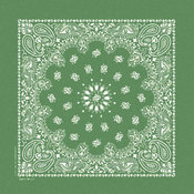Stonewash Bandannas 20"X20"-Kelly Green Paisley