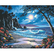 Paint By Number Kit 20"X16"-Moonlit Paradise