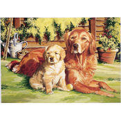 Painting On Canvas Acrylic Paint By Number Kit 11"
