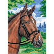 Mini Colour Pencil By Number Kit 5"X7"-Horse