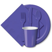 Paper Dinner Plates 9" 24/Pkg-Purple